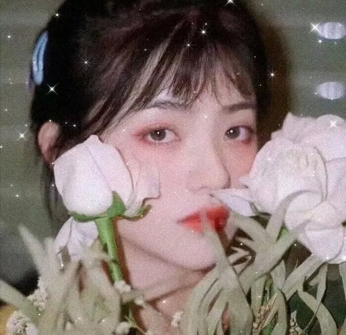 那年盛夏我们绽放如花